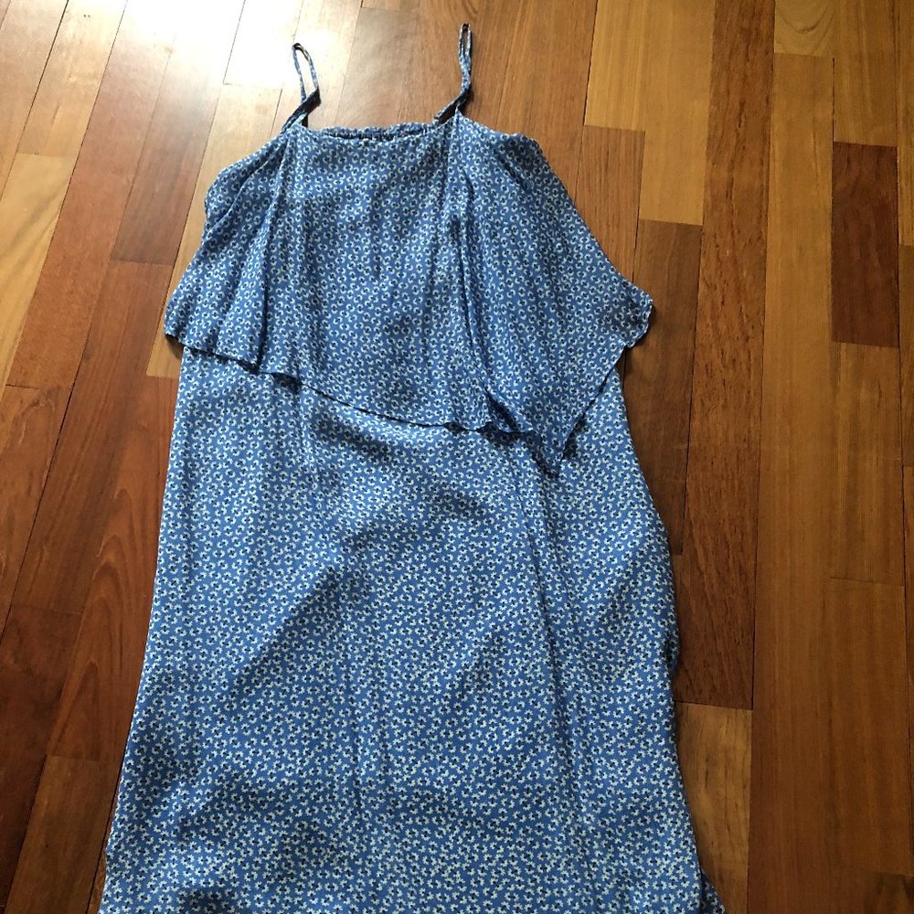 Hatch Blue Floral Dress